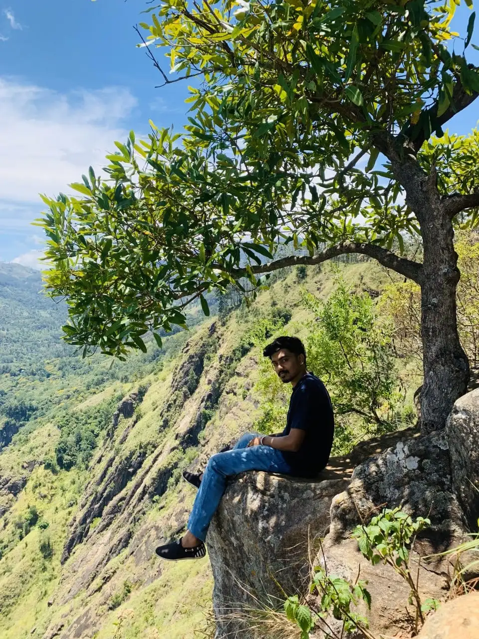 Cliffside Viewpoint